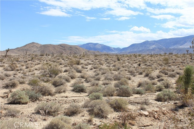 Detail Gallery Image 33 of 71 For 769 Meridian Rd, Lucerne Valley,  CA 92356 - – Beds | – Baths