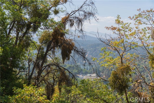 0 Chillon Drive, Crestline, California 92325, ,Land,For Sale,0 Chillon Drive,CRRW22222342