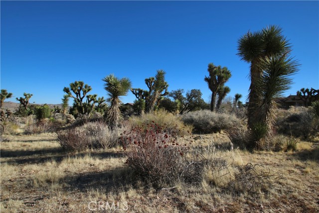 Detail Gallery Image 2 of 20 For 8435 Bannock Trl, Yucca Valley,  CA 92284 - – Beds | – Baths