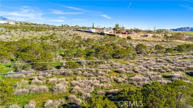 Detail Gallery Image 57 of 71 For 1 Apple Rd, Anza,  CA 92539 - – Beds | – Baths