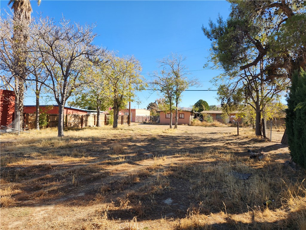 MLS #HD24234272 image #5