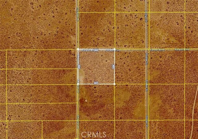 Front Image Thumbnail for CRSR26026527