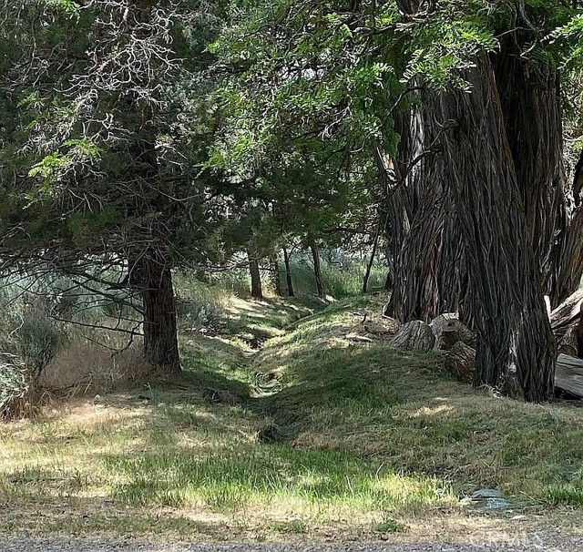 Detail Gallery Image 8 of 20 For 42528 County Road 1, Unincorporated,  CA 96115 - 4 Beds | 2 Baths