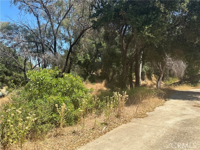 Detail Gallery Image 34 of 40 For 30100 Mulholland, –,  CA 91301 - – Beds | – Baths