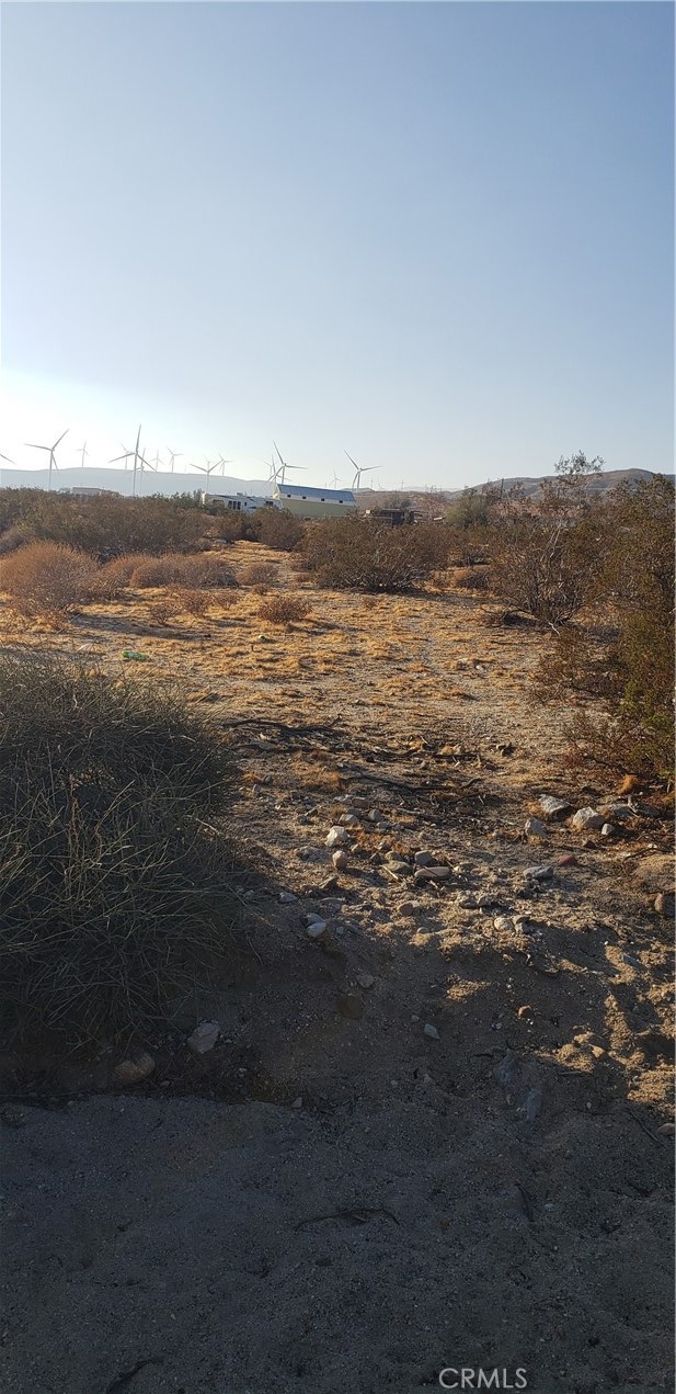 Front Image Thumbnail for CRIV26205617