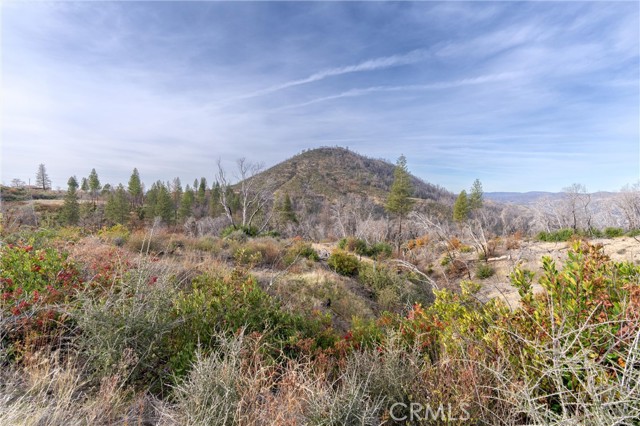 2231 Lumpkin Road, Oroville, California 95966, ,Land,For Sale,2231 Lumpkin Road,CRSN23227176