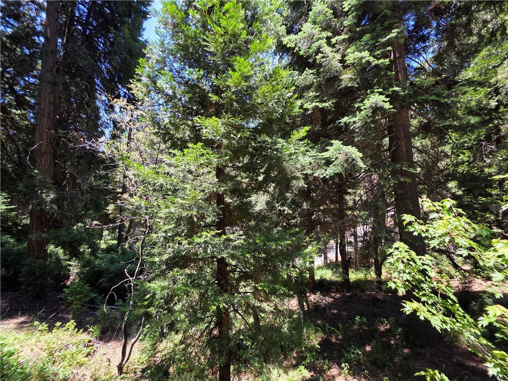 MLS #IG25143839 image #29