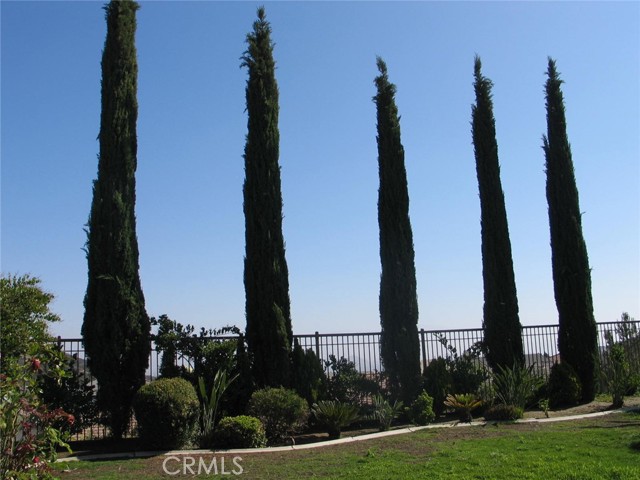 27720 Elderberry Street, Murrieta CA: https://media.crmls.org/medias/0f6230ed-950a-45ca-aca8-59900233d96e.jpg