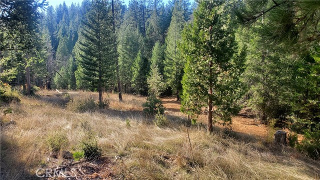 1 Coutolenc Road, Magalia, California 95954, ,Land,For Sale,1 Coutolenc Road,CRSN23217034