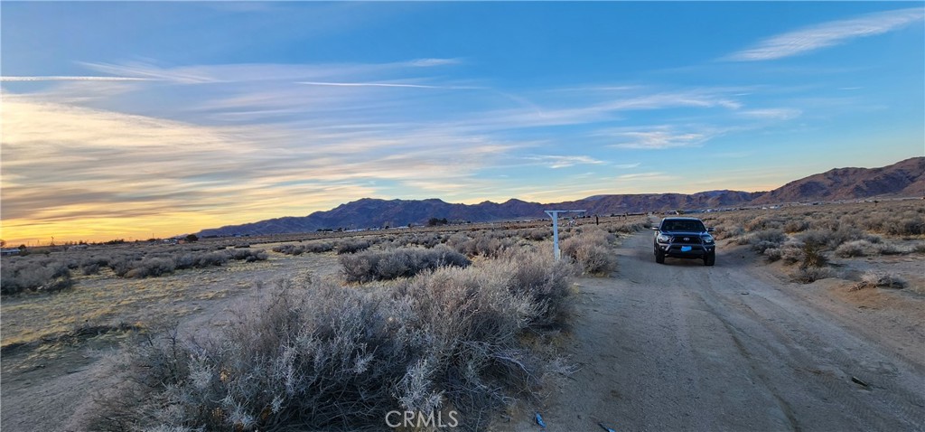 MLS #IV25049226 img 5