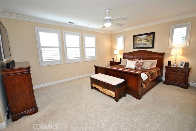 Spacious Master Bedroom with Plush Carpet, Plantation Shutters, Custom Crown Molding