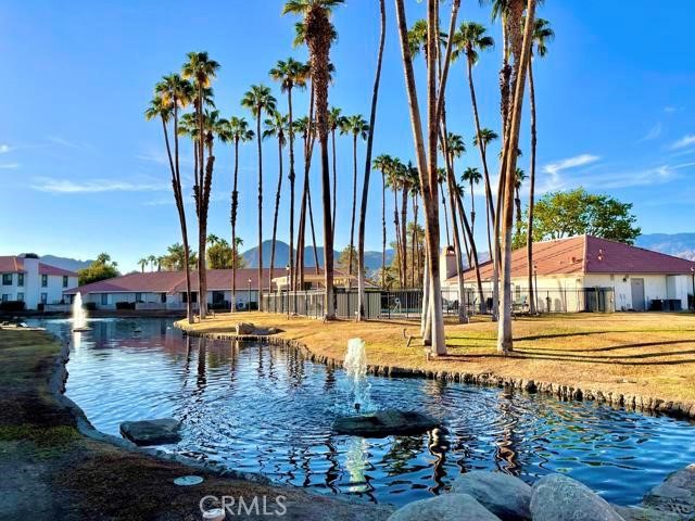 43376 Cook Street, Palm Desert CA: https://media.crmls.org/medias/0f70aae2-ef71-46c4-9e5d-2bf859a438ef.jpg
