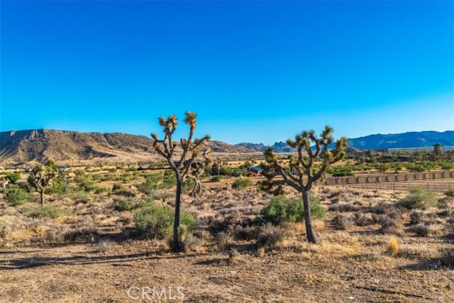 Detail Gallery Image 2 of 15 For 1 Pipes Canyon Road, Pioneertown,  CA 92268 - – Beds | – Baths