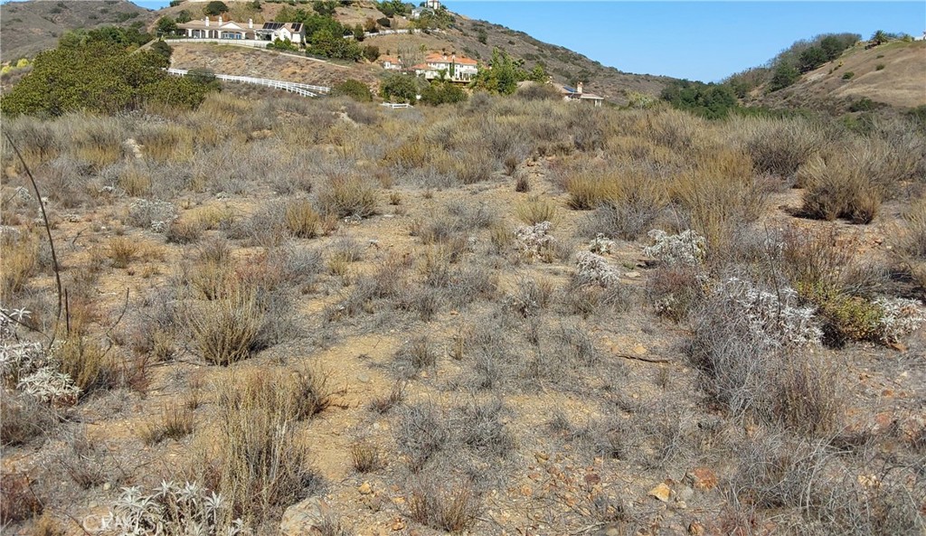 MLS #SW25229548 image #7