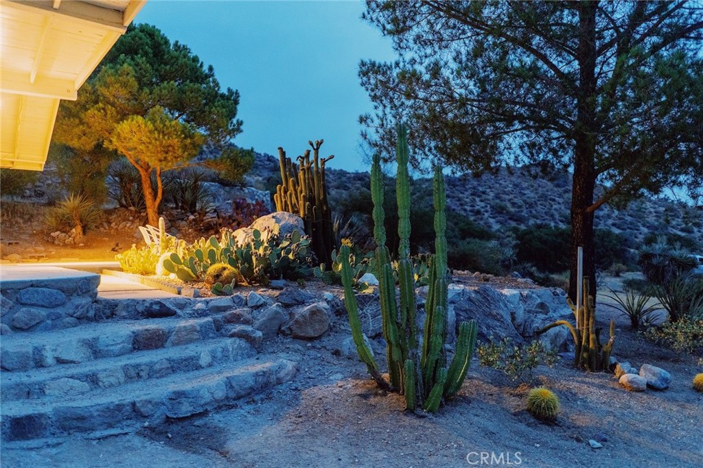 MLS #JT25265838 image #36