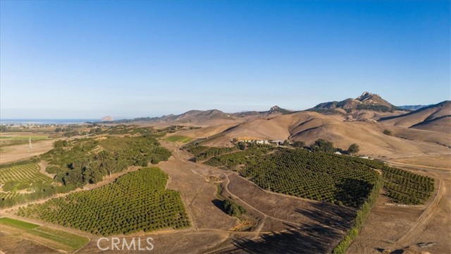 Detail Gallery Image 2 of 73 For 3515 Turri Rd, San Luis Obispo,  CA 93405 - 5 Beds | 5/1 Baths