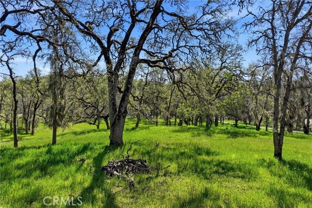 Detail Gallery Image 13 of 14 For 726 Park, Lakeport,  CA 95453 - – Beds | – Baths