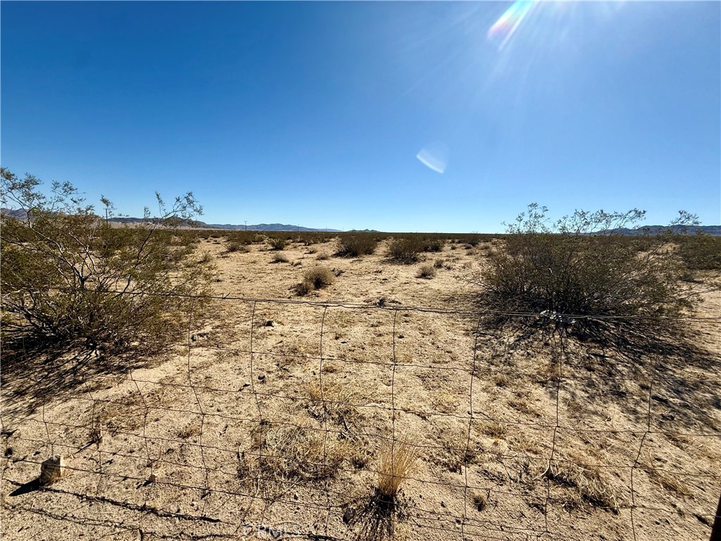 MLS #JT25208342 image #5