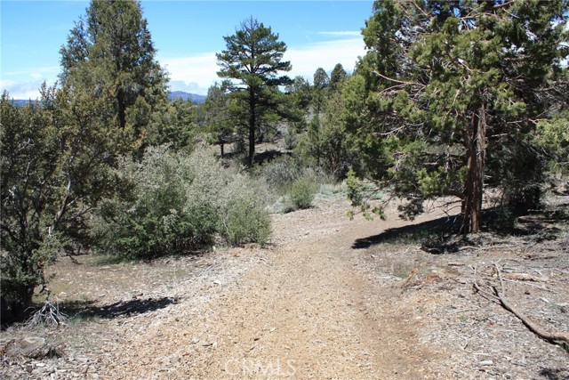 Detail Gallery Image 50 of 55 For 615 Kean Way, Big Bear City,  CA 92314 - – Beds | – Baths