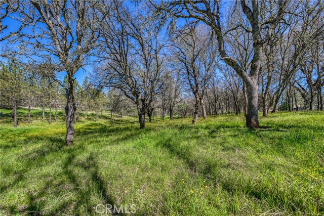 Detail Gallery Image 65 of 74 For 1001 Louis Way, Lakeport,  CA 95453 - 3 Beds | 2/1 Baths