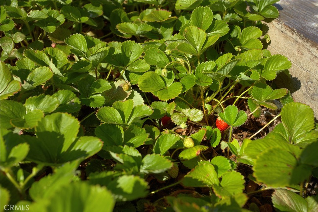 0f934177 9c30 4dc1 884d Ae7daf71752c