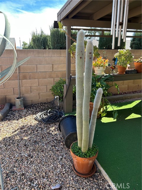 Detail Gallery Image 10 of 16 For 27138 Rockwood, Menifee,  CA 92586 - 2 Beds | 2 Baths