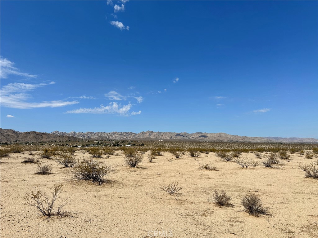 MLS #JT25131781 image #8