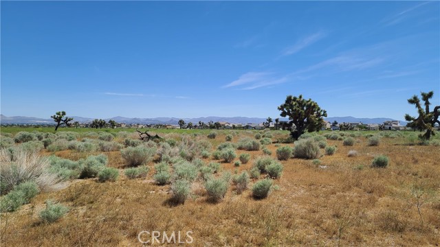 Detail Gallery Image 2 of 15 For 0 Vacant Land, Hesperia,  CA 92345 - – Beds | – Baths