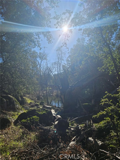 Detail Gallery Image 19 of 51 For 59366 Road 225, North Fork,  CA 93643 - – Beds | – Baths