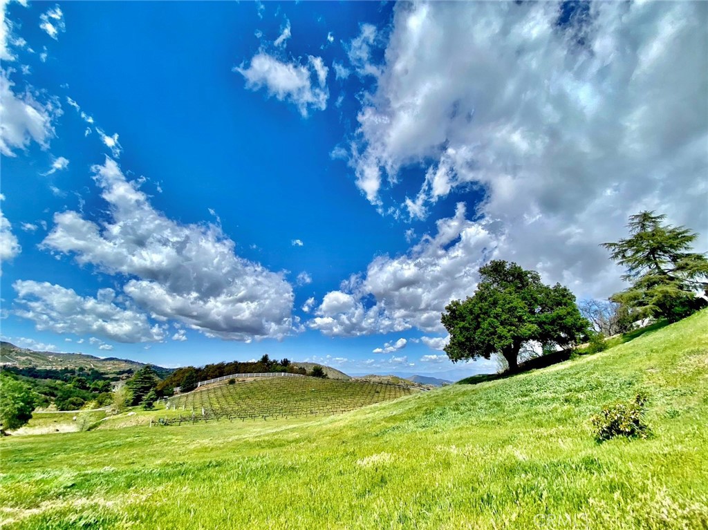 https://media.crmls.org/medias/0fb205c7-40ac-428f-81db-6cf215ce8fce.jpg?preset=X-Large