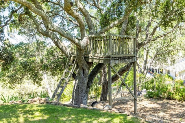 Detail Gallery Image 47 of 57 For 12355 Santa Ana, Atascadero,  CA 93422 - 4 Beds | 3/1 Baths