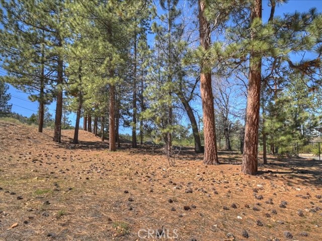 Detail Gallery Image 17 of 21 For 41711 Swizterland, Big Bear Lake,  CA 92315 - – Beds | – Baths