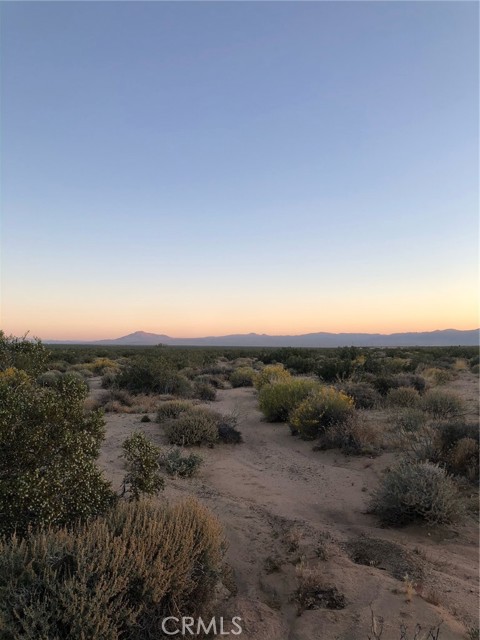 0 Brant Cross Rd, Twentynine Palms, California 92277, ,Land,For Sale,0 Brant Cross Rd,CRIV23197951