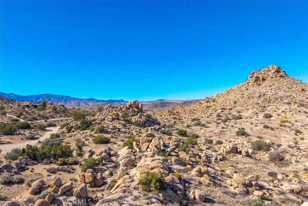 MLS #JT25250010 image #16