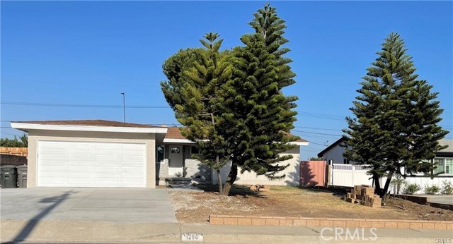 Front Image Thumbnail for CRDW25278505