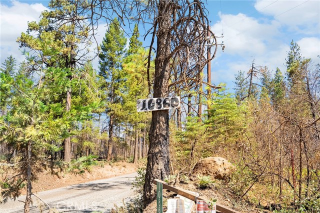 10860 Cohasset Road, Chico CA: https://media.crmls.org/medias/0fd06fb7-7a2b-49d2-b793-567e0b9d2b07.jpg