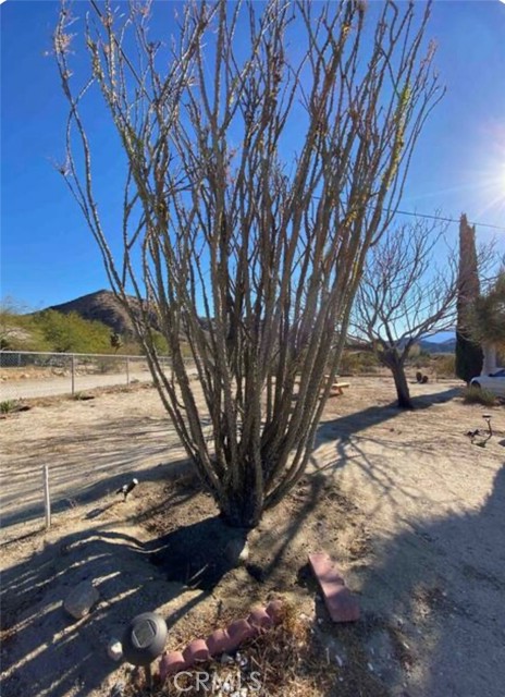 Detail Gallery Image 12 of 13 For 8960 S Samel Rd, Morongo Valley,  CA 92256 - 2 Beds | 1 Baths