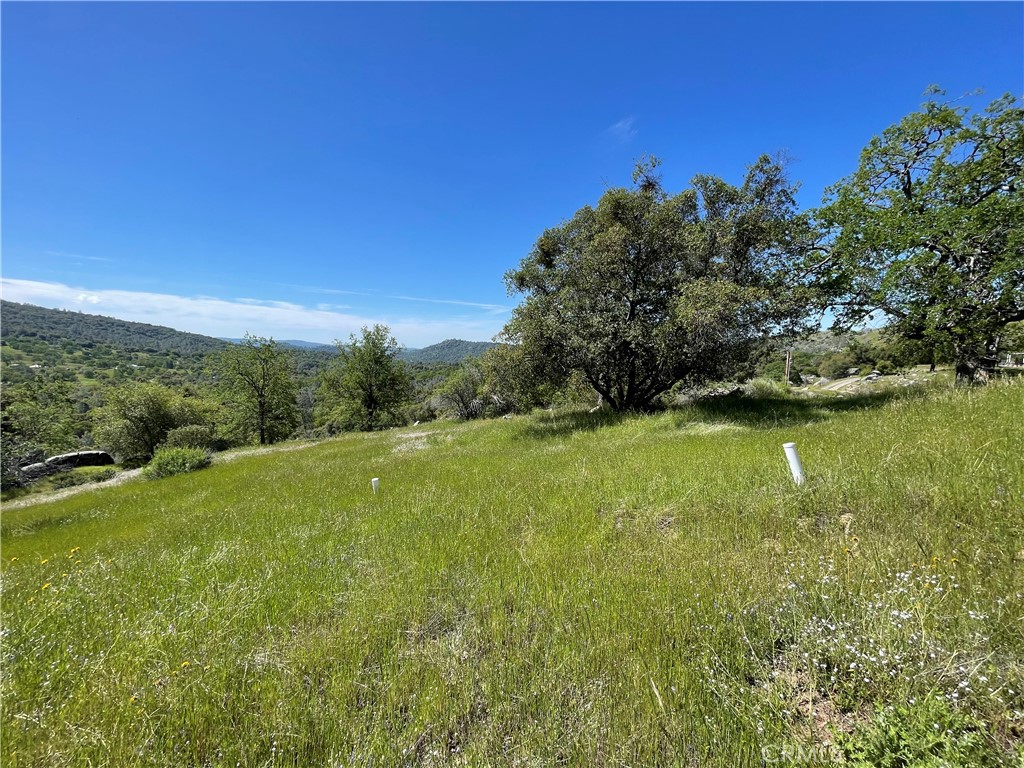 MLS #MP25096218 image #2
