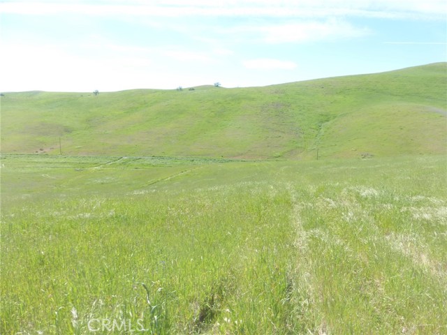 Detail Gallery Image 13 of 42 For 0 Douglas Rd. (Lot 42), San Miguel,  CA 93451 - – Beds | – Baths