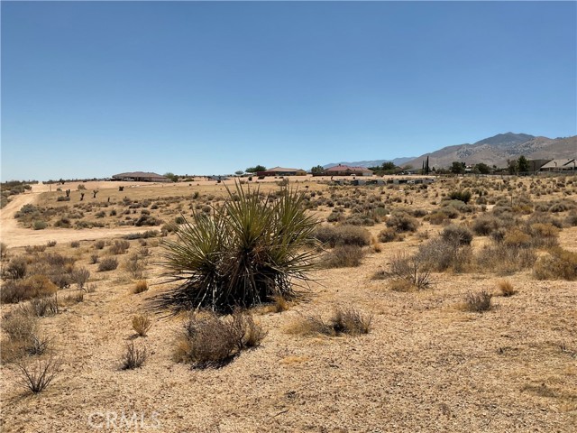 Detail Gallery Image 1 of 11 For 7 Ocotillo Way, Apple Valley,  CA 92308 - – Beds | – Baths