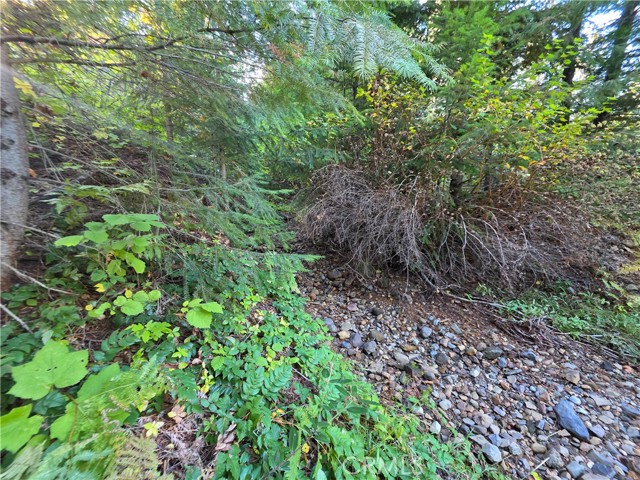 Detail Gallery Image 3 of 22 For 0 Muledeer Rd., Weed,  CA 96094 - – Beds | – Baths