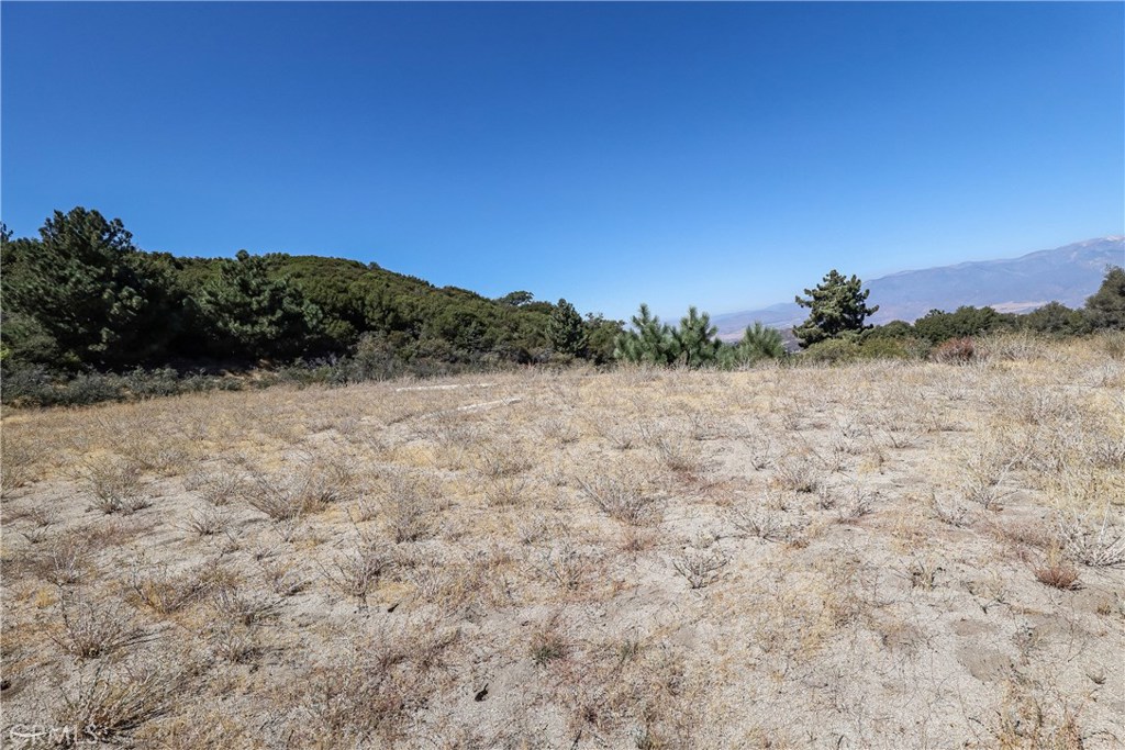 MLS #IV22001970 image #14