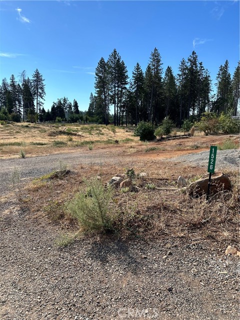 Front Image Thumbnail for CRPA25201175