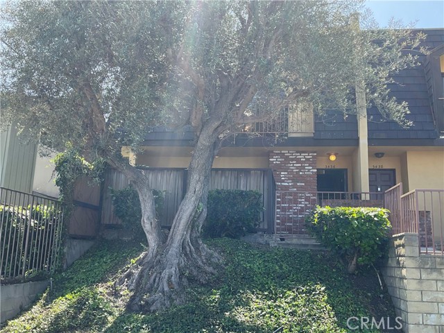 Front Image Thumbnail for CRSB26026671