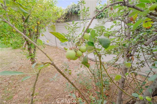 Detail Gallery Image 24 of 50 For 427 N Hicks Ave, East Los Angeles,  CA 90063 - 3 Beds | 2 Baths