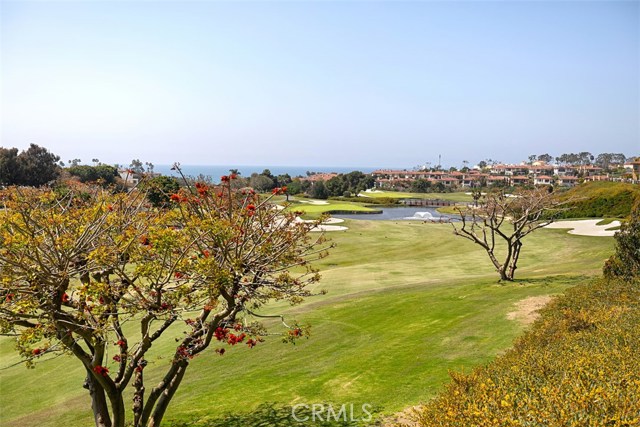 Detail Gallery Image 55 of 62 For 27 via Monarca St, Dana Point,  CA 92629 - 4 Beds | 4/1 Baths