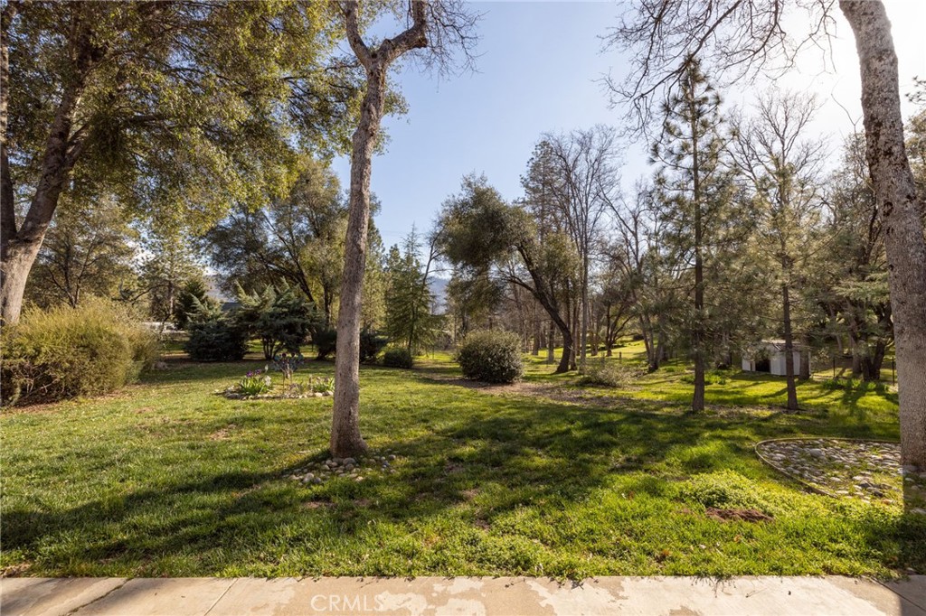 0Ff5D010 65C3 4E34 Bdc1 91B0Bd9F5892 51892 Quail Ridge Rd, Oakhurst, Ca 93644 &Lt;Span Style='BackgroundColor:transparent;Padding:0Px;'&Gt; &Lt;Small&Gt; &Lt;I&Gt; &Lt;/I&Gt; &Lt;/Small&Gt;&Lt;/Span&Gt;