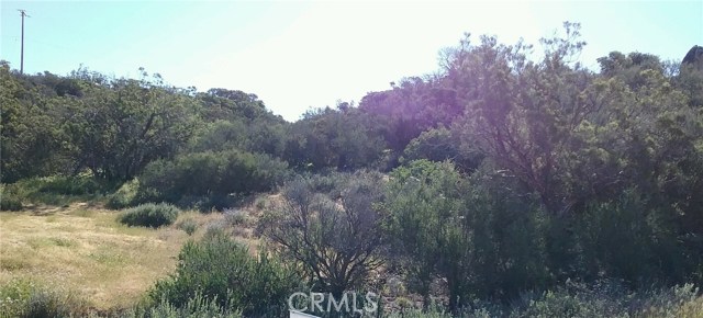 MLS# SW19161382