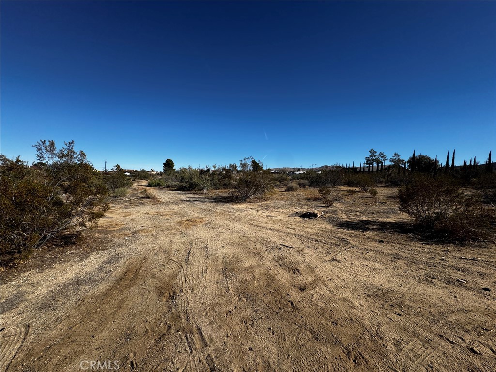 MLS #JT25257669 image #2