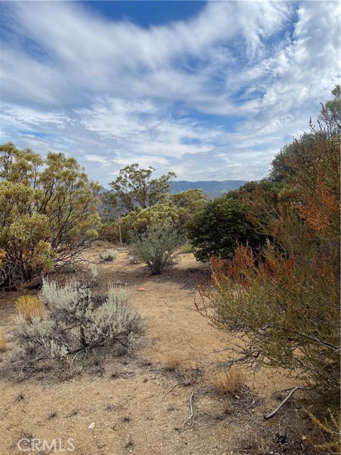 2 Goldshot Creek Road, Mountain Center, California 92561, ,Land,For Sale,2 Goldshot Creek Road,CRSW22171999